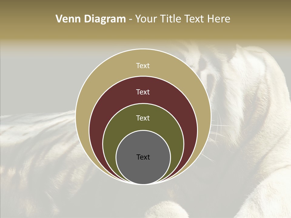 Humor Per On Human PowerPoint Template