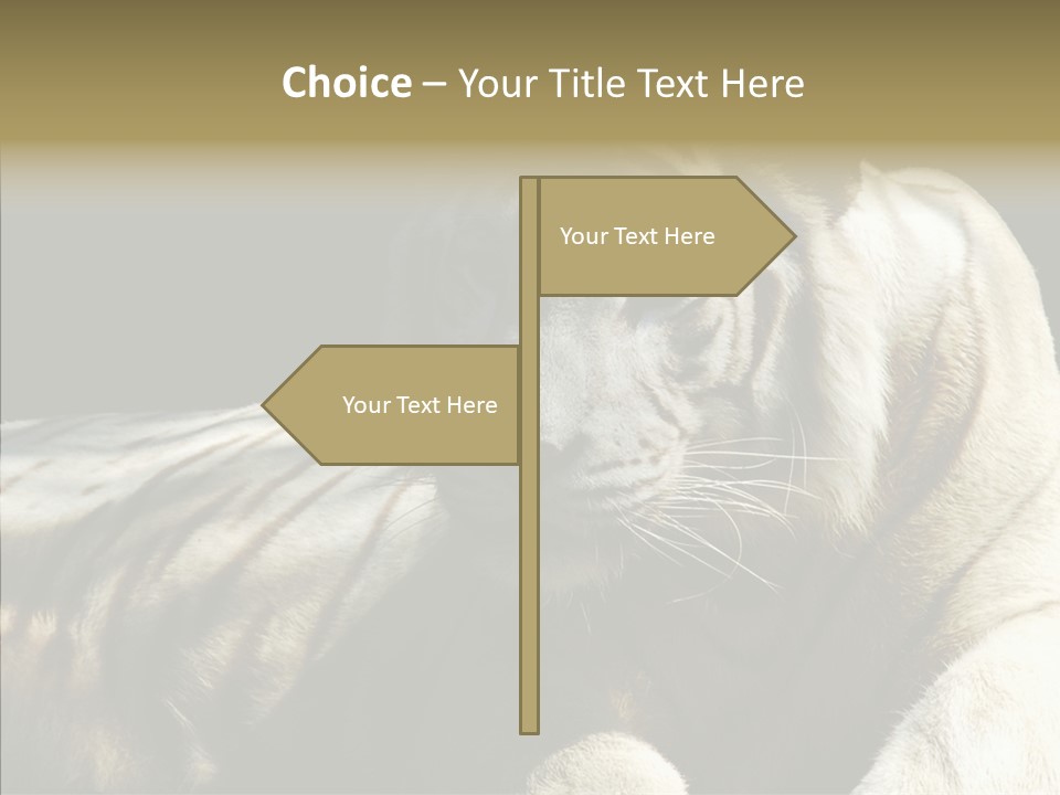Humor Per On Human PowerPoint Template