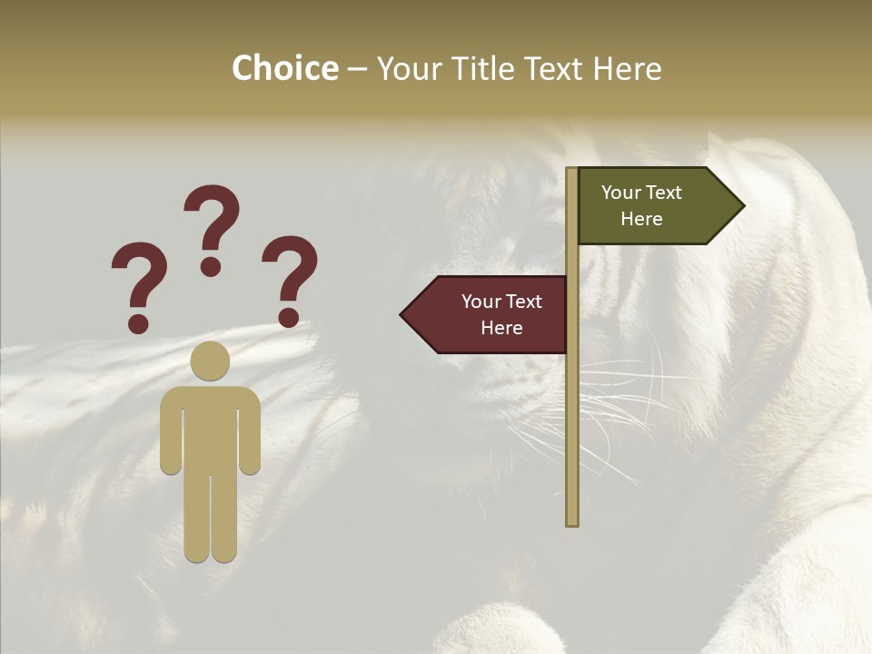 Humor Per On Human PowerPoint Template