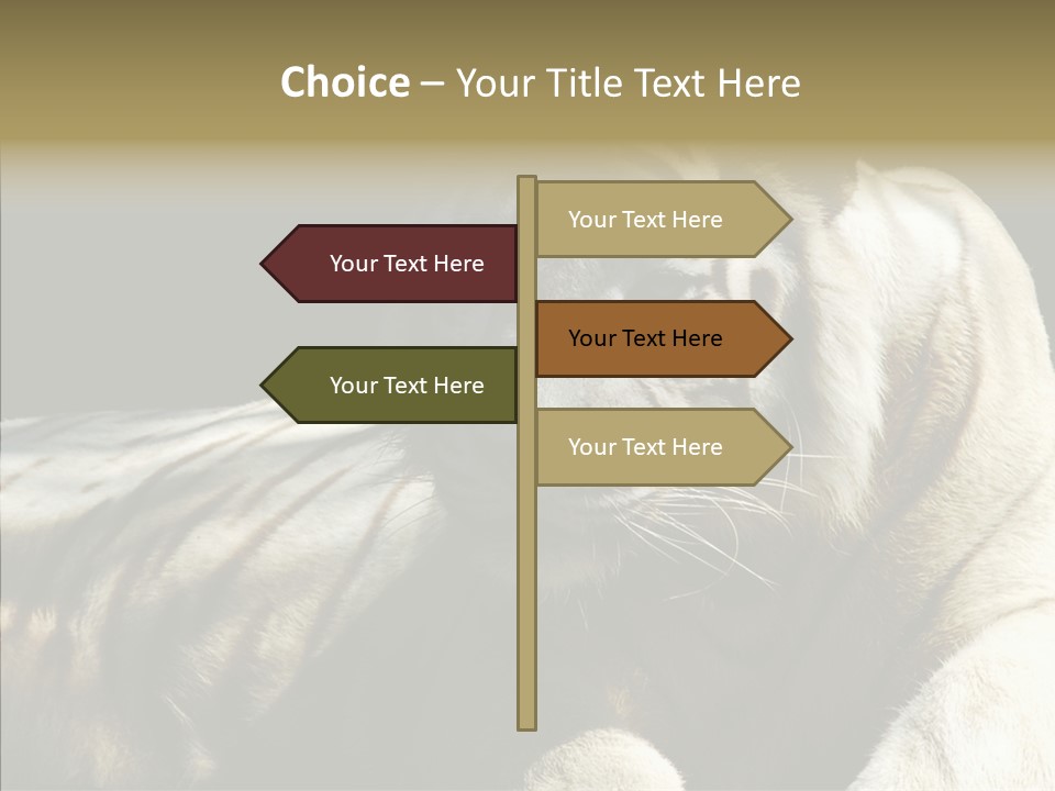 Humor Per On Human PowerPoint Template