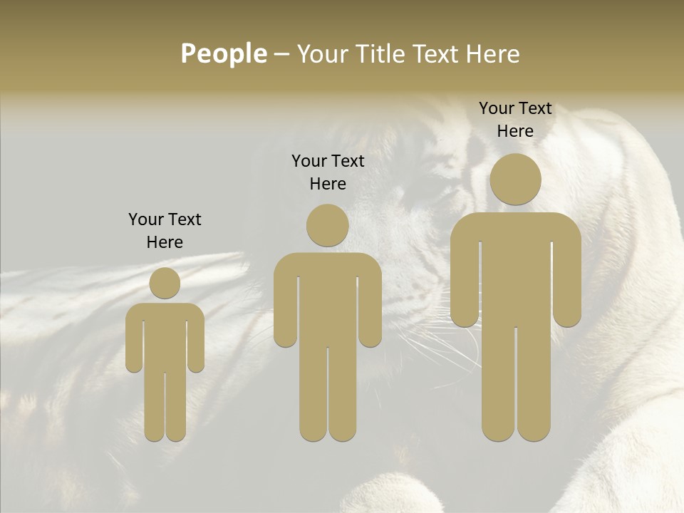 Humor Per On Human PowerPoint Template