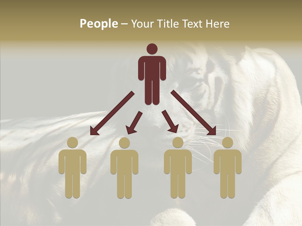 Humor Per On Human PowerPoint Template