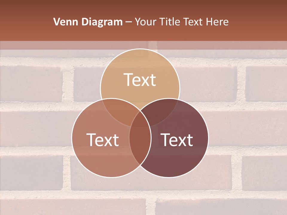 Di Cu Ion Humorou Table PowerPoint Template