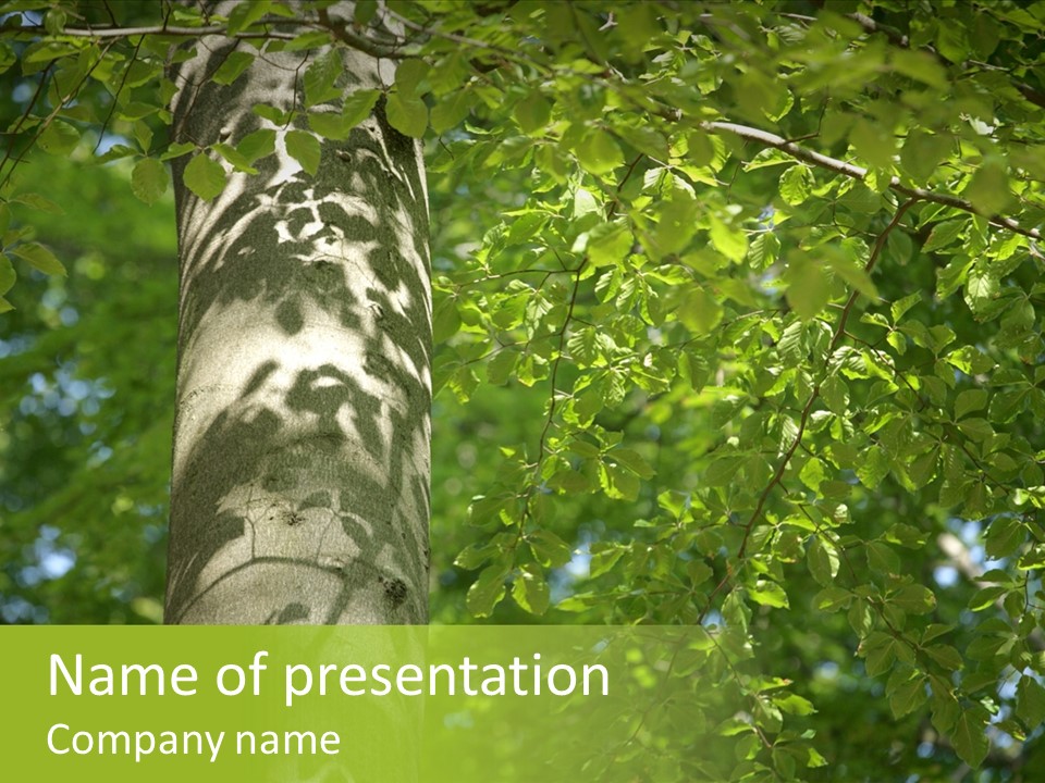 Branch Pattern Landscape PowerPoint Template