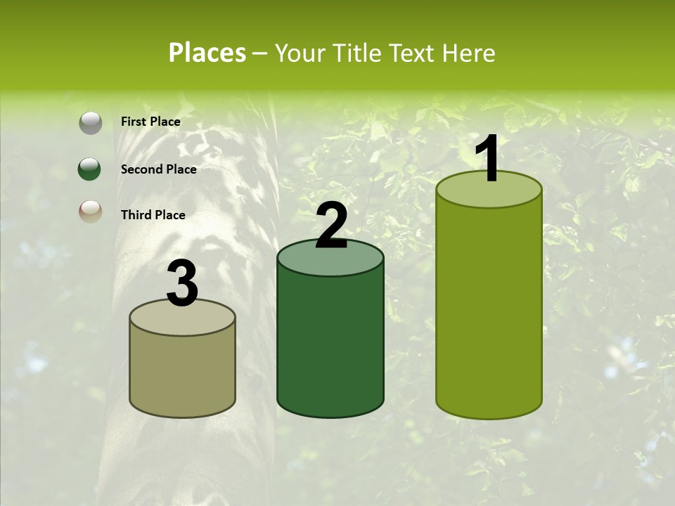 Branch Pattern Landscape PowerPoint Template
