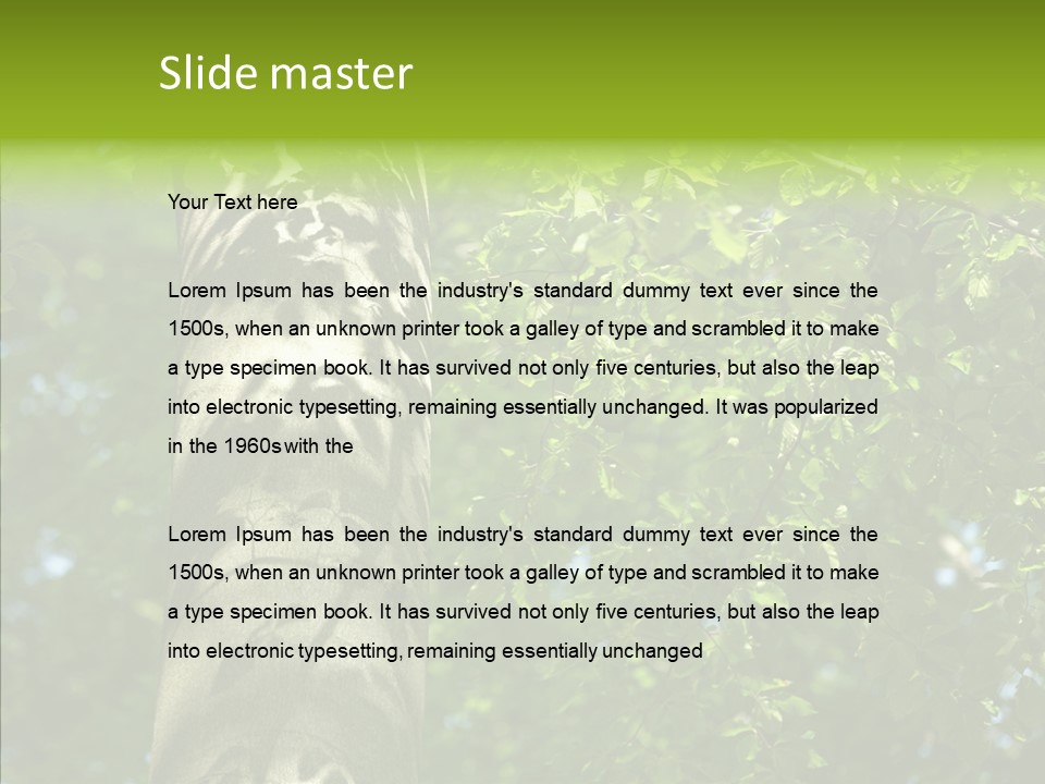 Branch Pattern Landscape PowerPoint Template