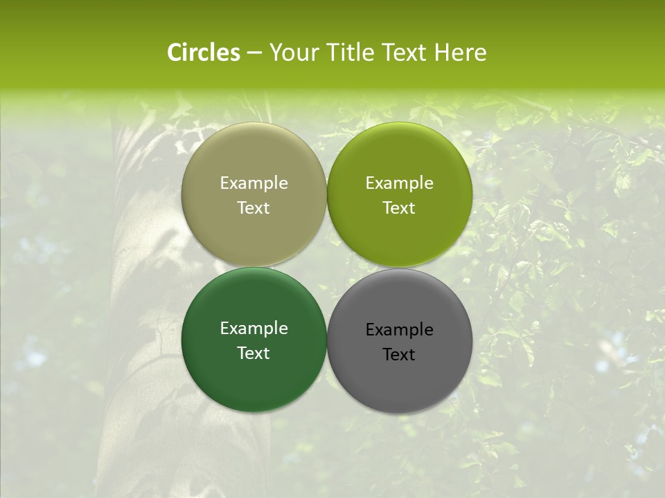 Branch Pattern Landscape PowerPoint Template