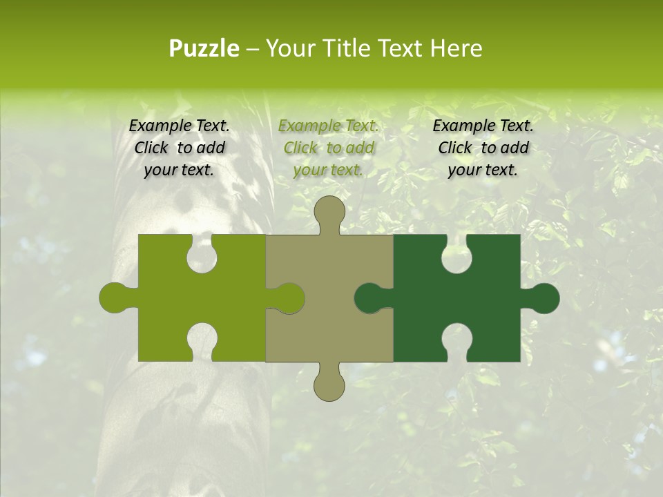 Branch Pattern Landscape PowerPoint Template