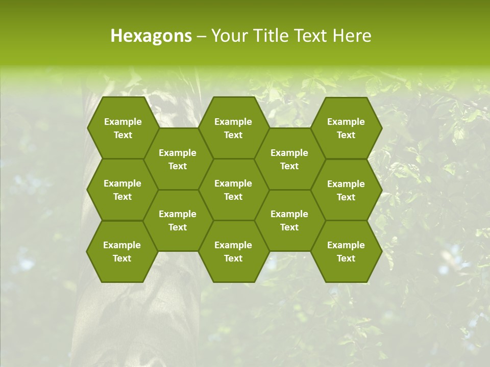 Branch Pattern Landscape PowerPoint Template