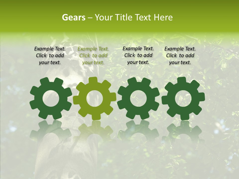 Branch Pattern Landscape PowerPoint Template