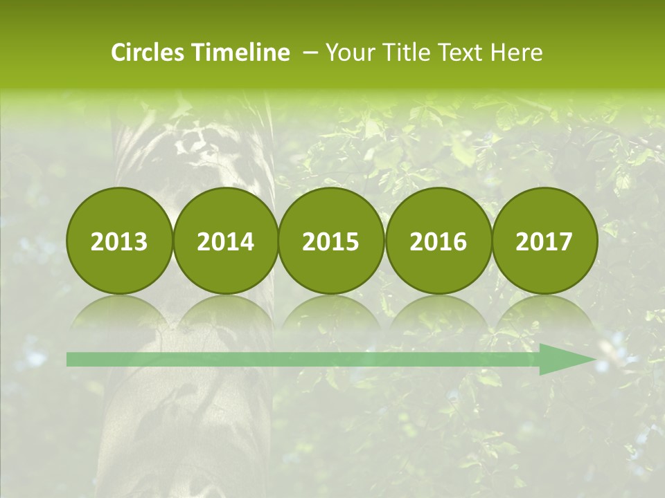 Branch Pattern Landscape PowerPoint Template