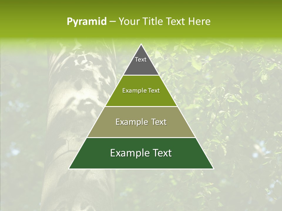 Branch Pattern Landscape PowerPoint Template