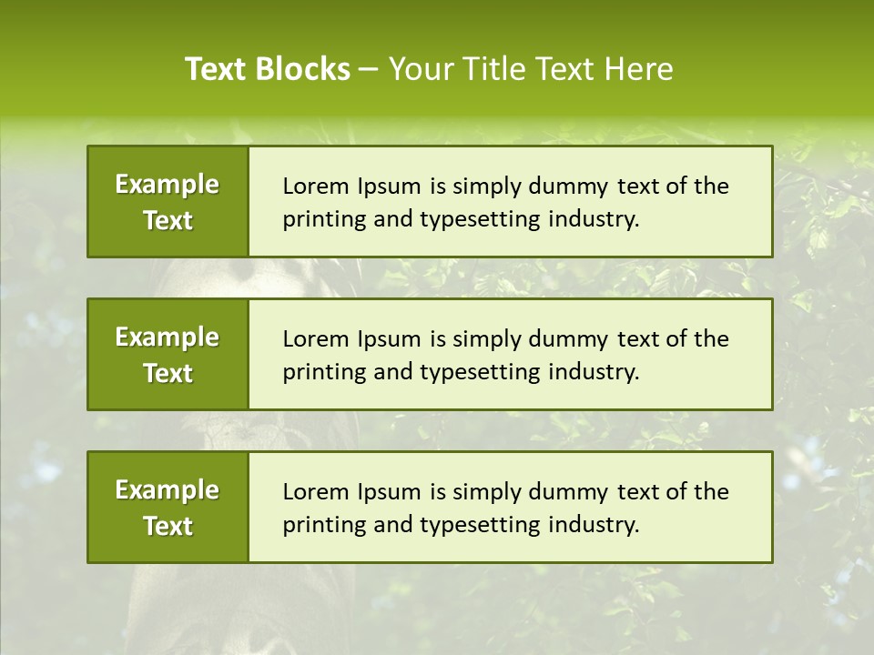 Branch Pattern Landscape PowerPoint Template