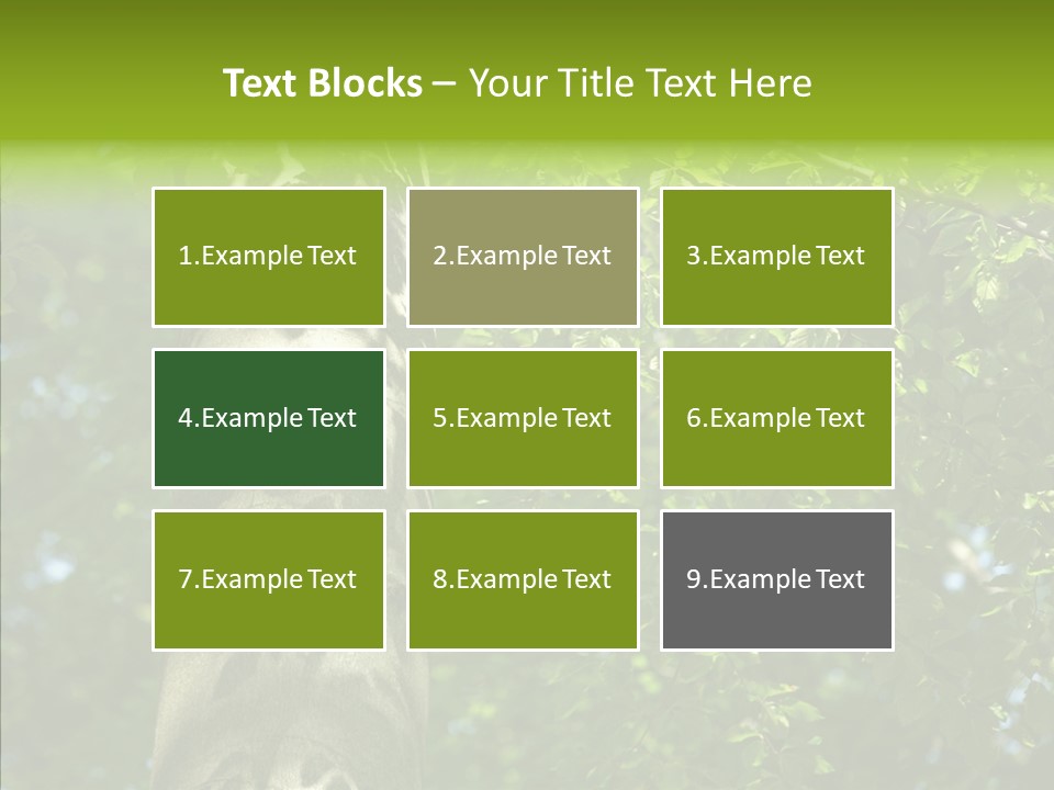 Branch Pattern Landscape PowerPoint Template
