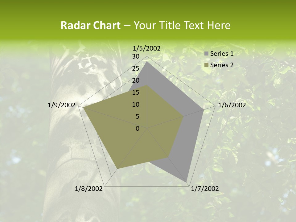 Branch Pattern Landscape PowerPoint Template