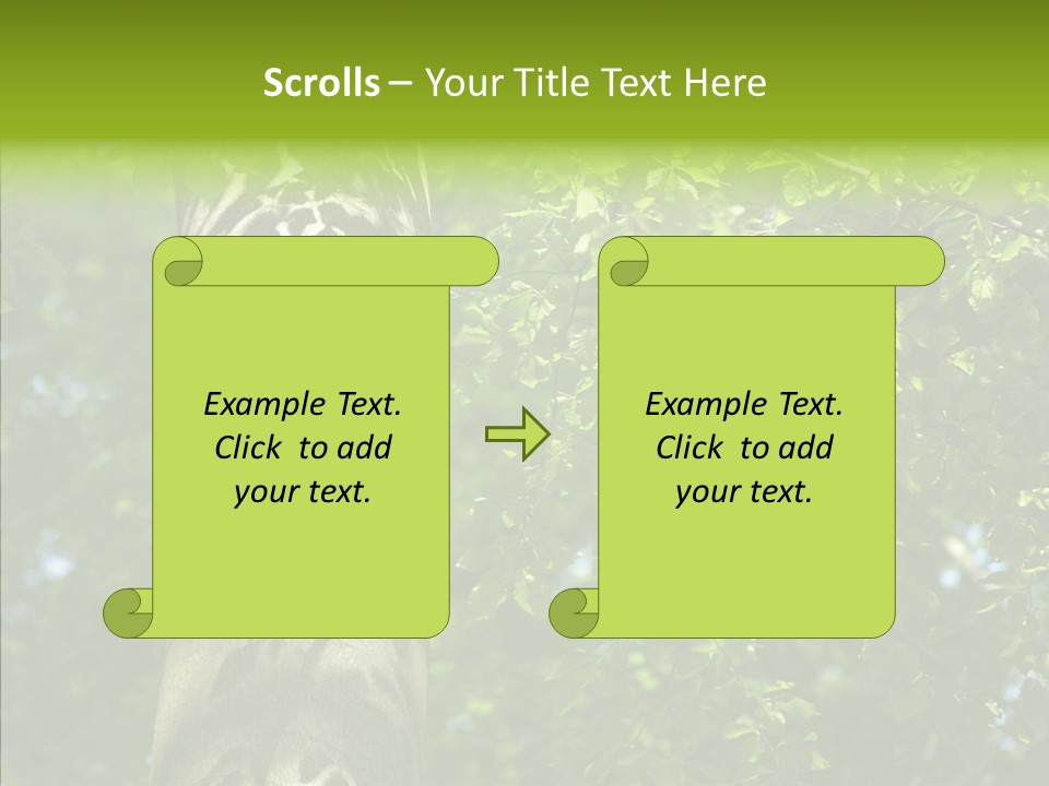 Branch Pattern Landscape PowerPoint Template