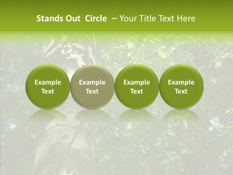 Branch Pattern Landscape PowerPoint Template