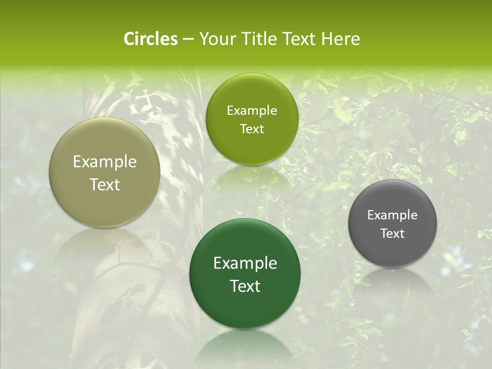 Branch Pattern Landscape PowerPoint Template