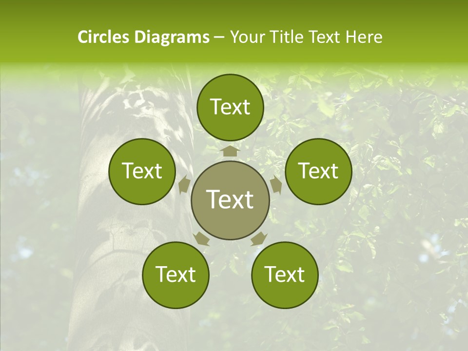 Branch Pattern Landscape PowerPoint Template