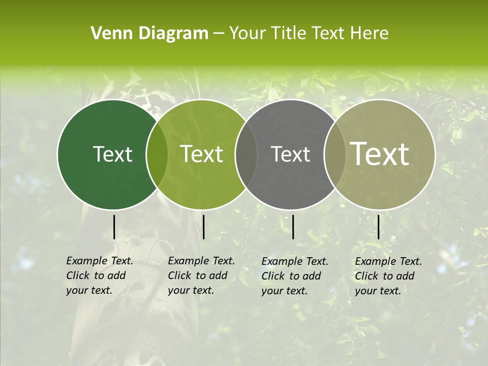 Branch Pattern Landscape PowerPoint Template