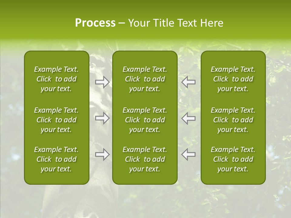 Branch Pattern Landscape PowerPoint Template