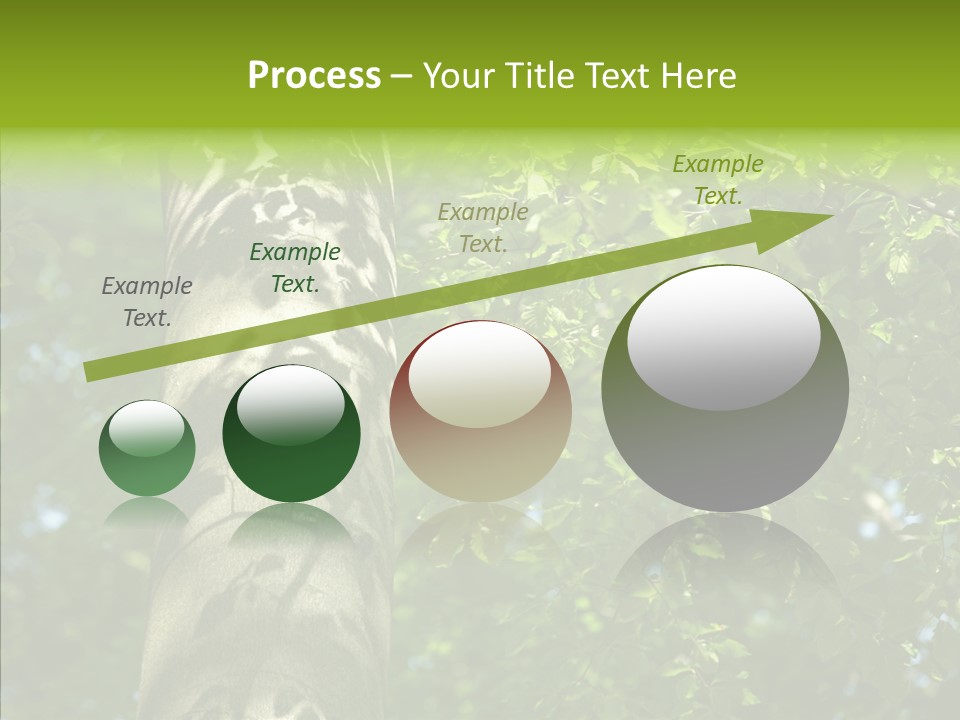 Branch Pattern Landscape PowerPoint Template