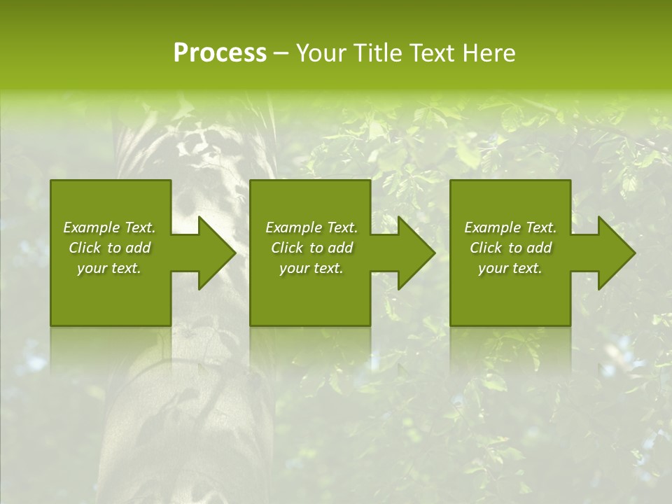 Branch Pattern Landscape PowerPoint Template