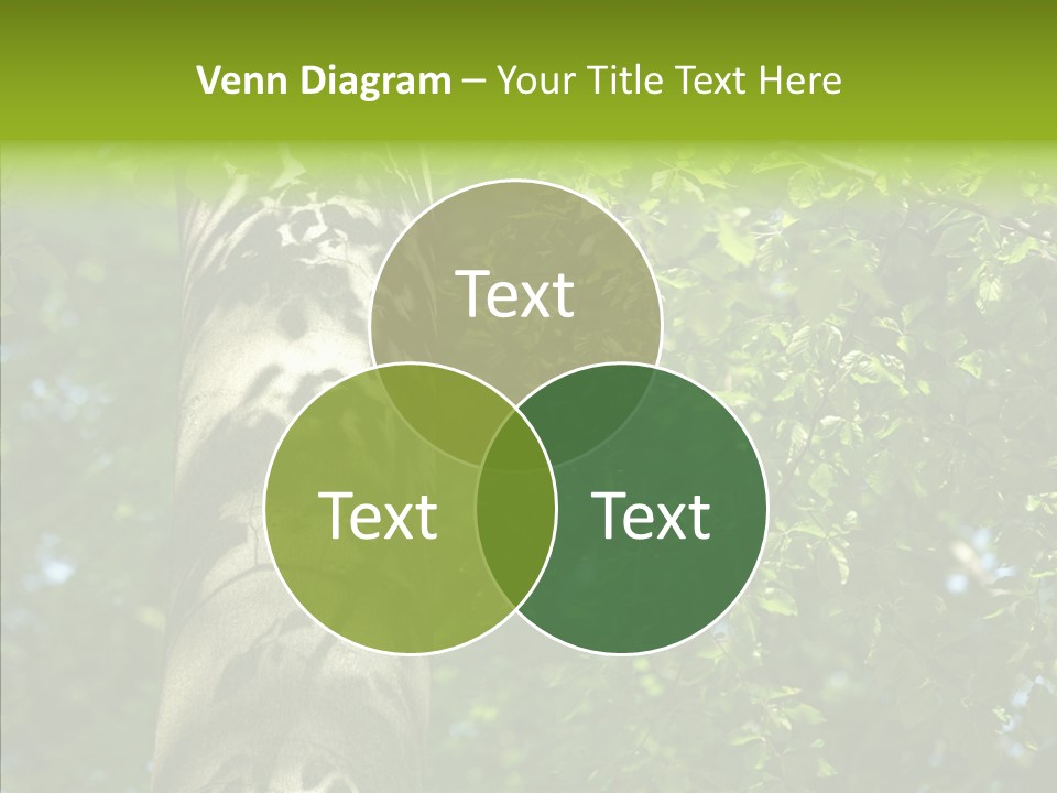 Branch Pattern Landscape PowerPoint Template
