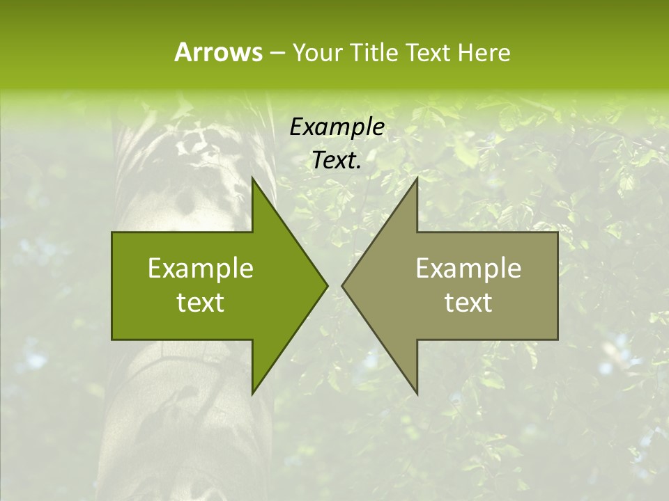 Branch Pattern Landscape PowerPoint Template