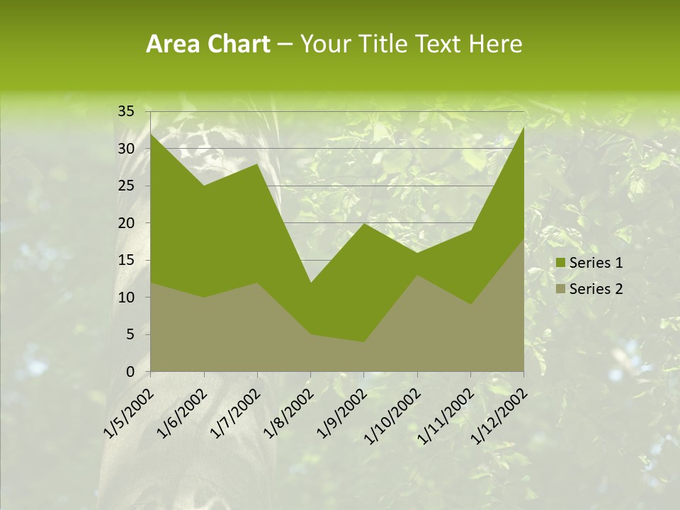 Branch Pattern Landscape PowerPoint Template