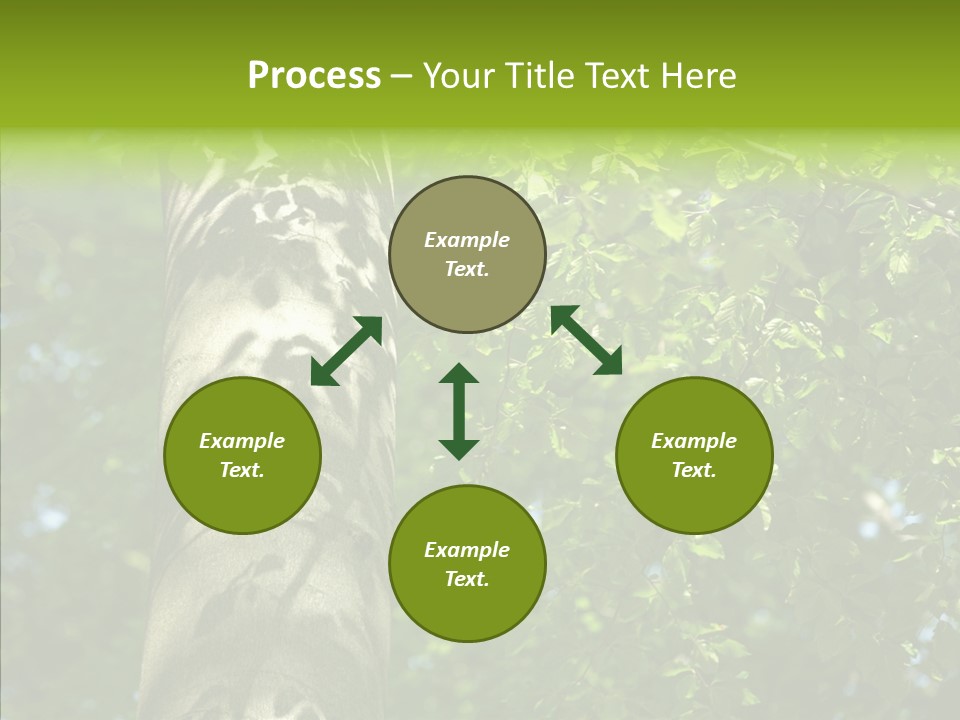 Branch Pattern Landscape PowerPoint Template