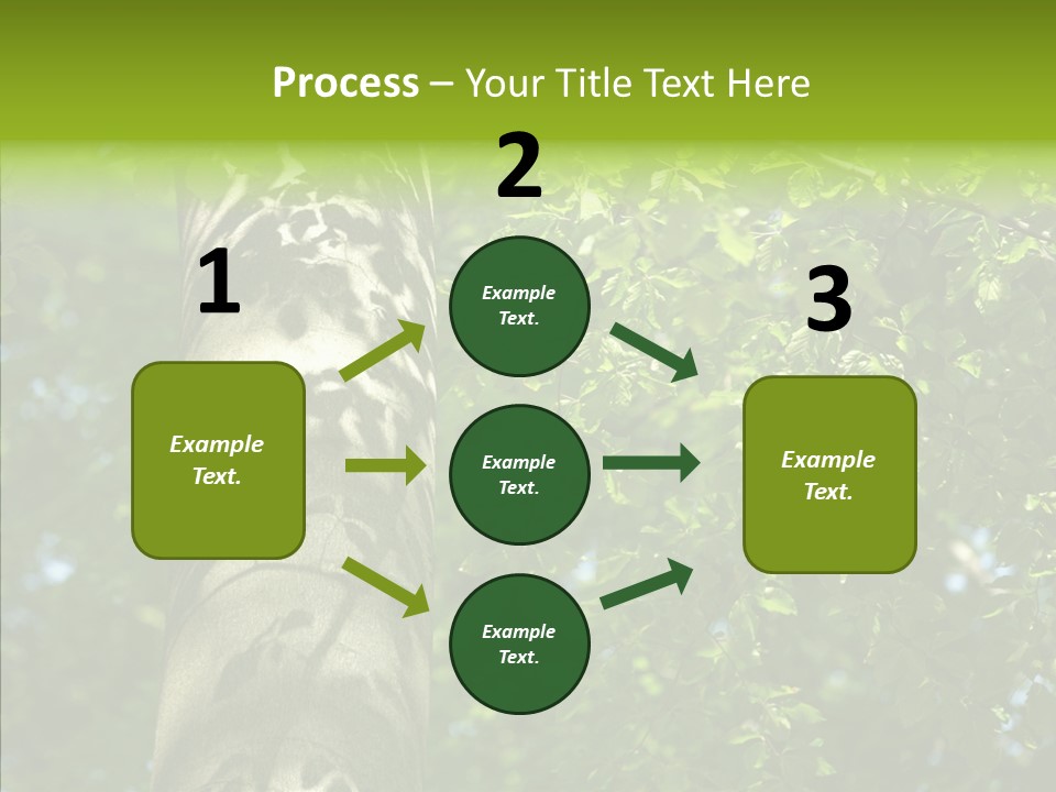 Branch Pattern Landscape PowerPoint Template