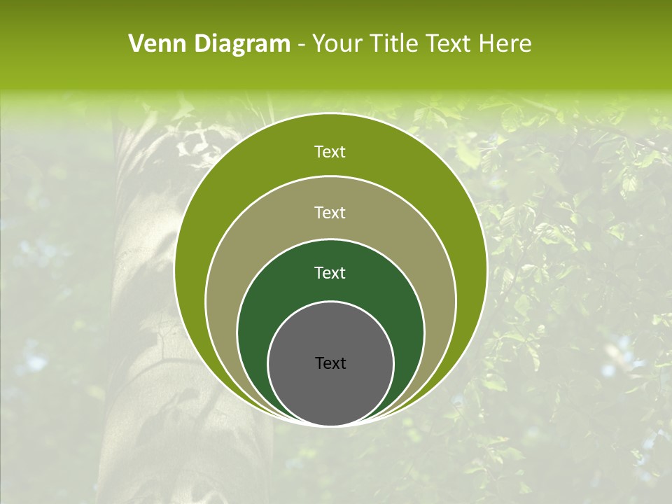 Branch Pattern Landscape PowerPoint Template