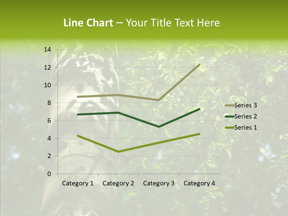 Branch Pattern Landscape PowerPoint Template