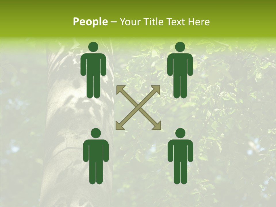 Branch Pattern Landscape PowerPoint Template