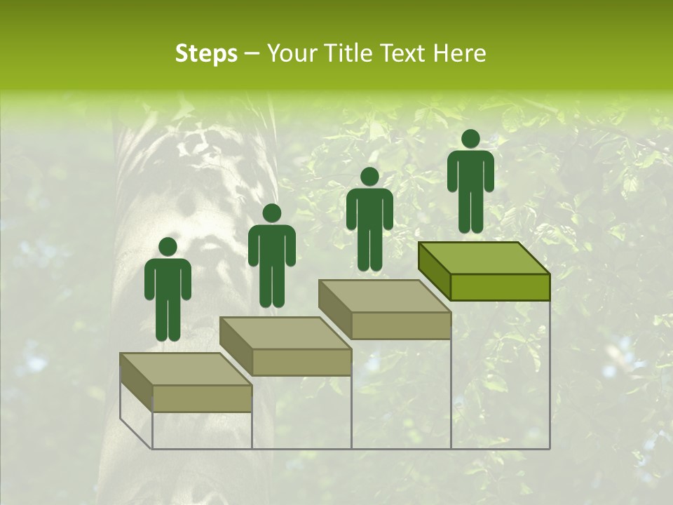 Branch Pattern Landscape PowerPoint Template