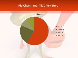 Nature Toes Ecosystem PowerPoint Template