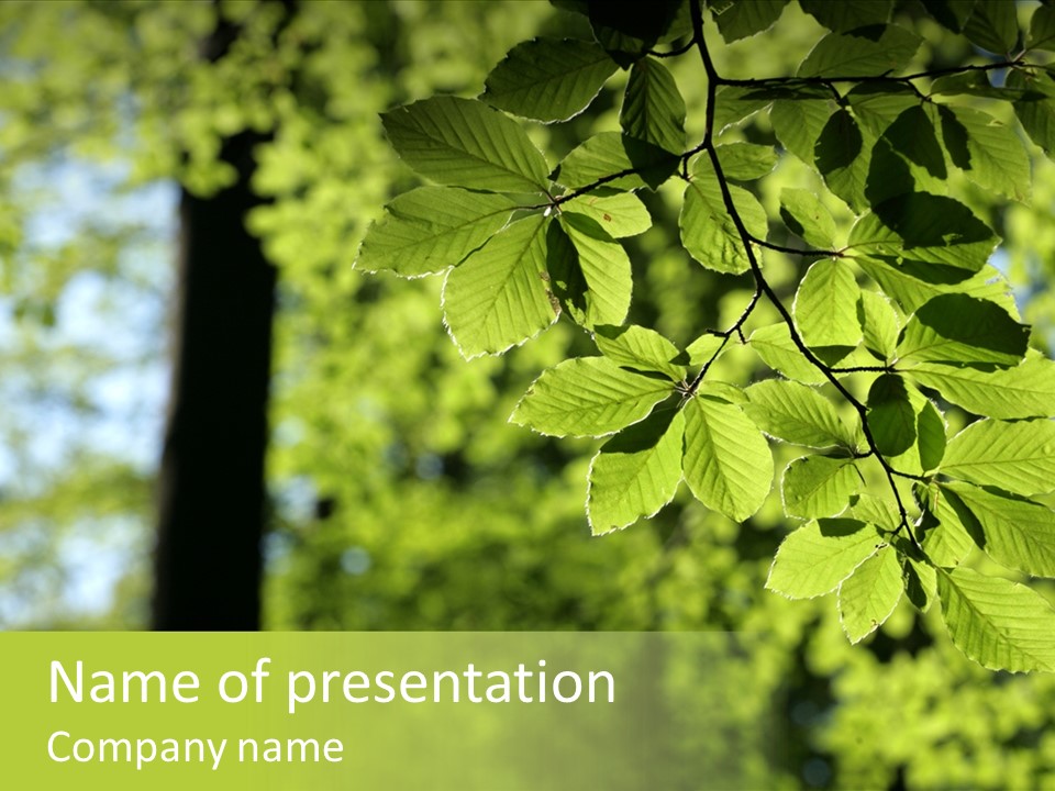 Team Company Writing PowerPoint Template