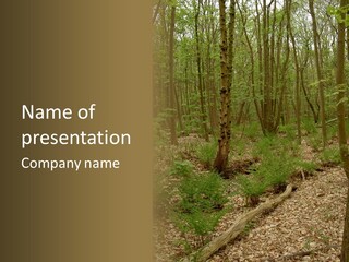 Profe Ional Corporate Team PowerPoint Template