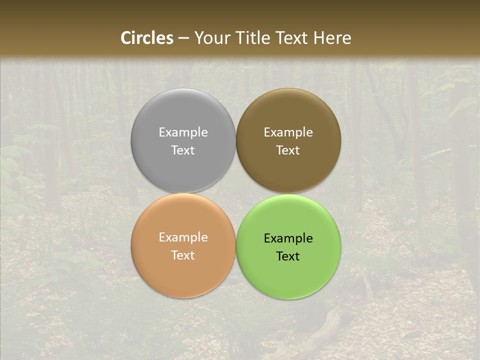 Profe Ional Corporate Team PowerPoint Template