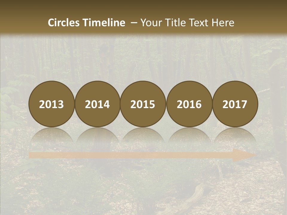 Profe Ional Corporate Team PowerPoint Template