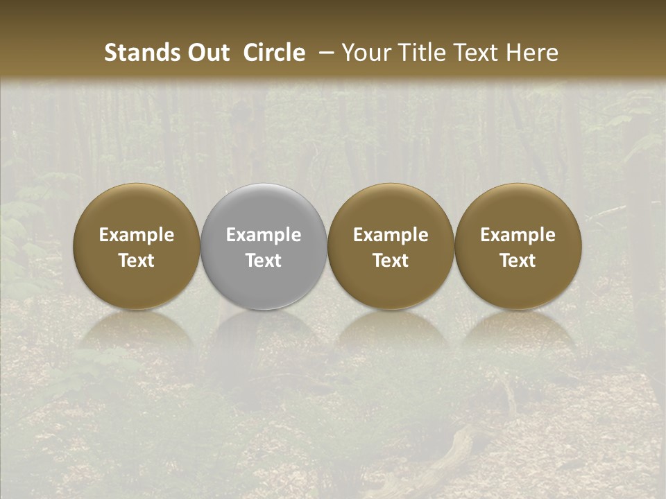 Profe Ional Corporate Team PowerPoint Template