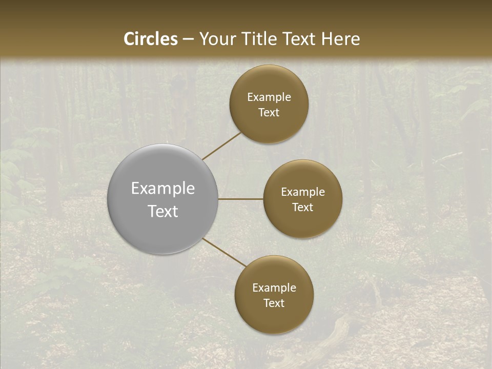 Profe Ional Corporate Team PowerPoint Template