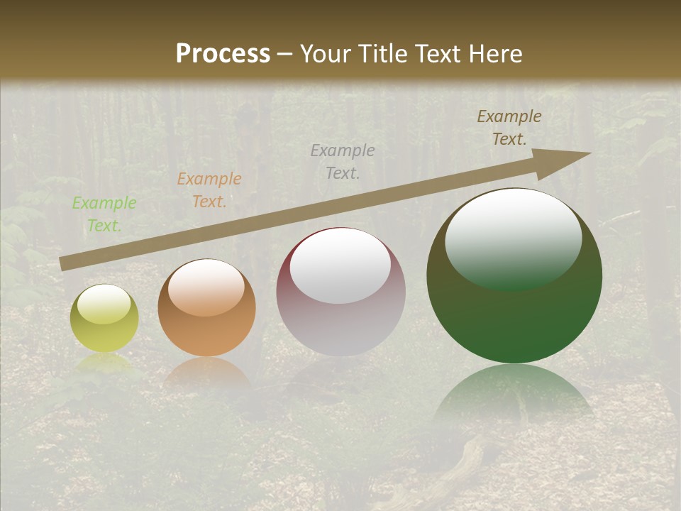 Profe Ional Corporate Team PowerPoint Template