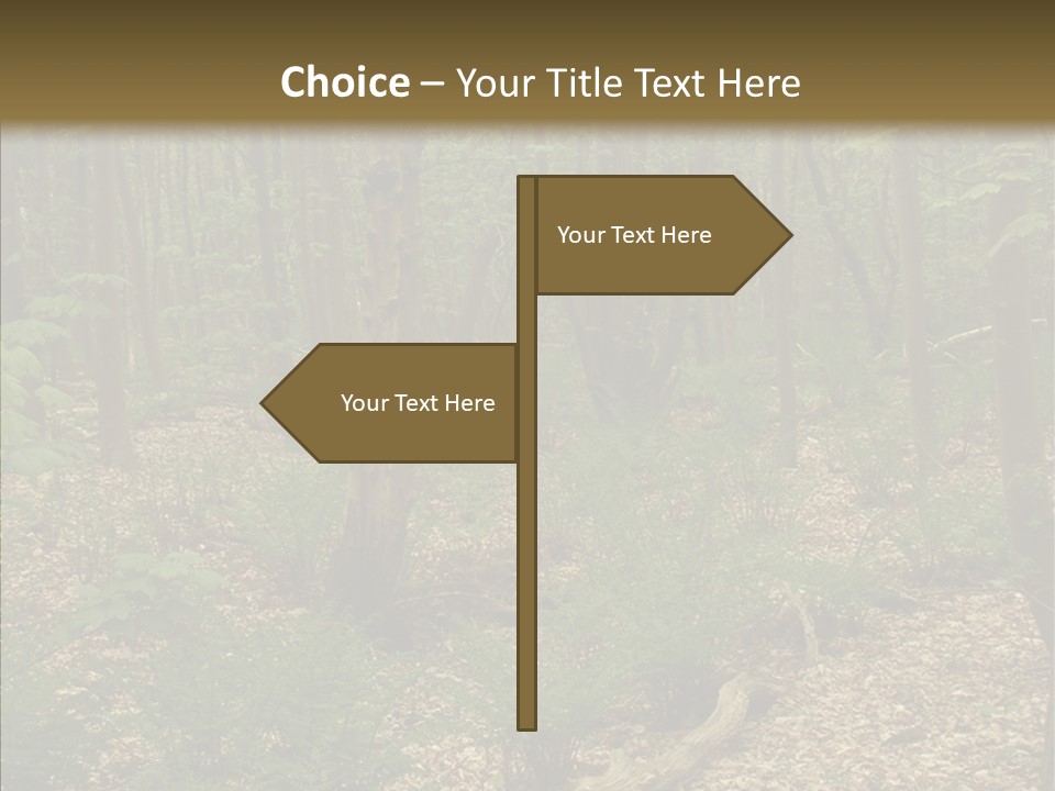 Profe Ional Corporate Team PowerPoint Template