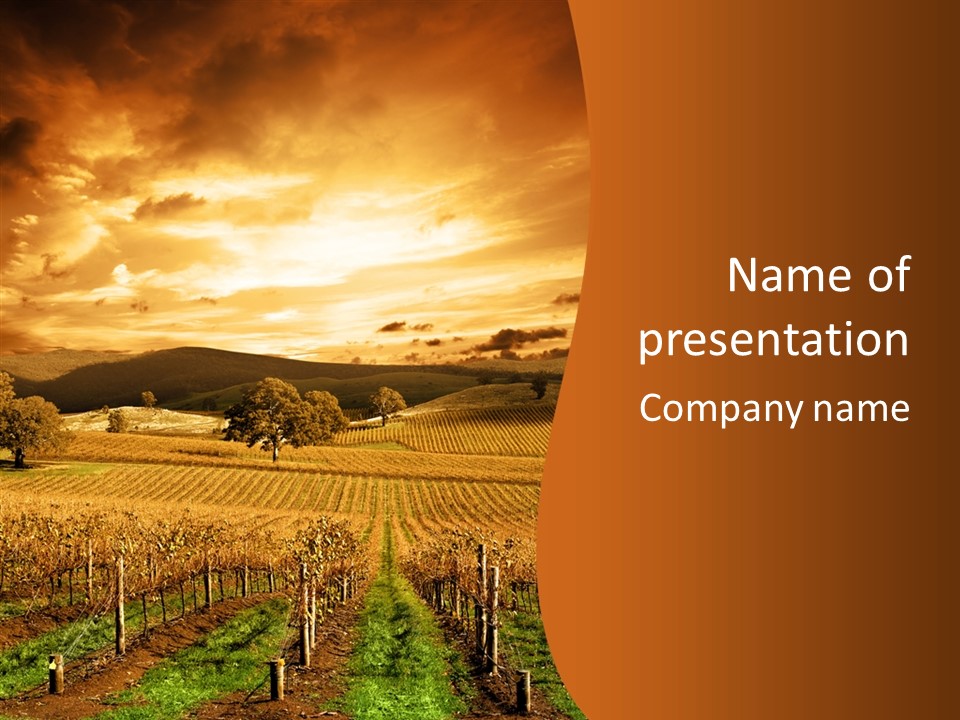 Farm Horizon Golden PowerPoint Template