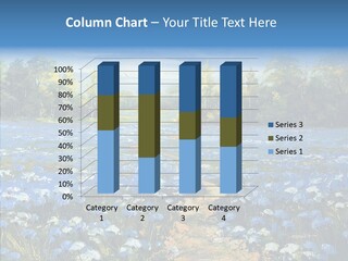 Birches Road Bush PowerPoint Template