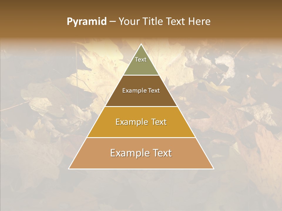 Green Orange Season PowerPoint Template
