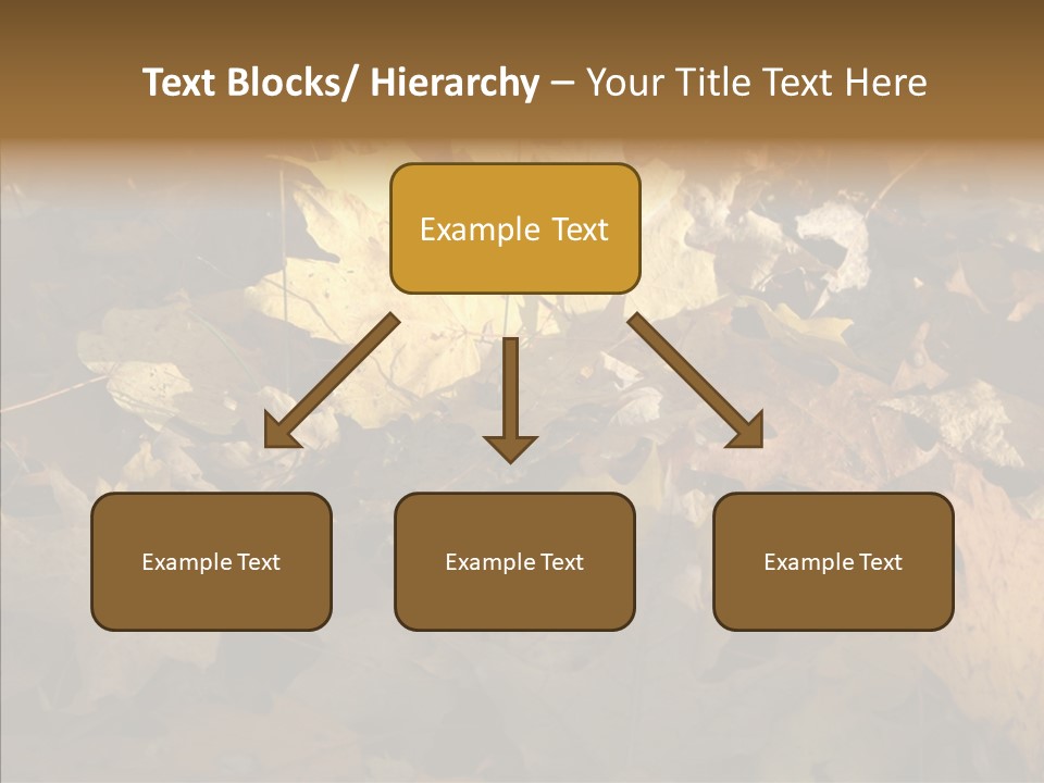 Green Orange Season PowerPoint Template