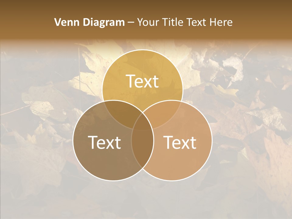 Green Orange Season PowerPoint Template